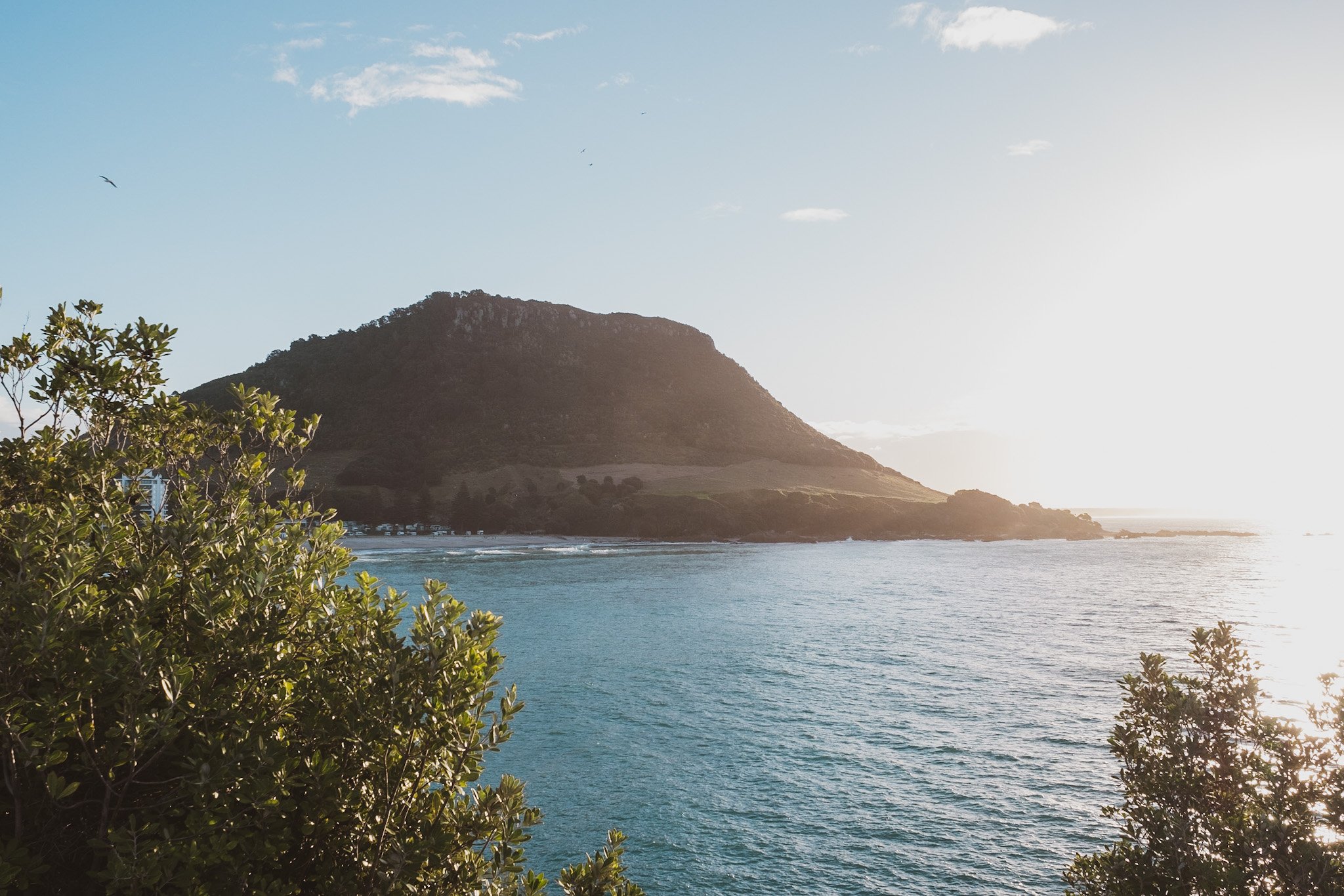 LouLouB_Tauranga-3-1