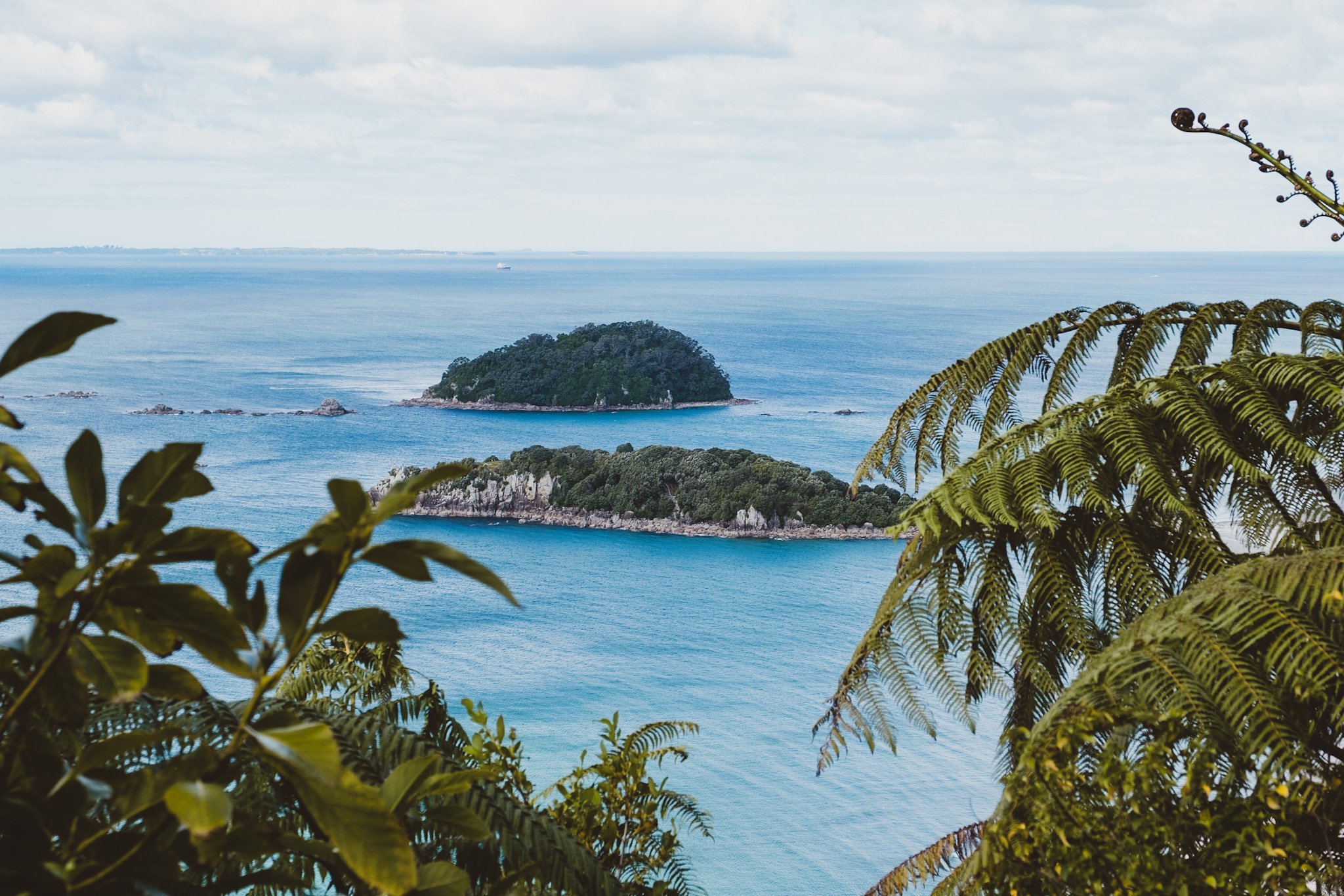 LouLouB_Tauranga-4-1