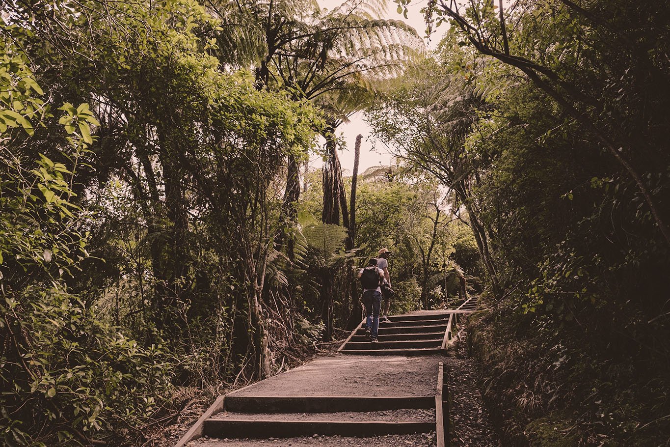 LouLouB_Tauranga-5-1