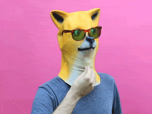 giphy (11)