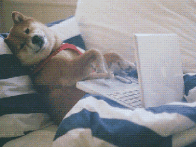 giphy (17)