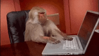 giphy (9)