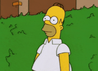 giphy-3